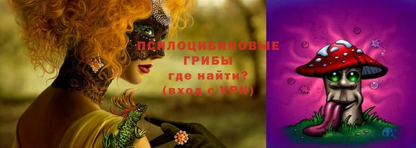 гашик Бородино