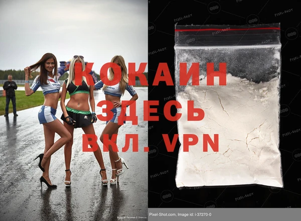 прущие грибы Видное