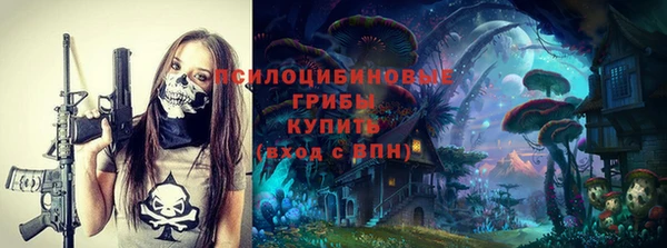 гашик Бородино