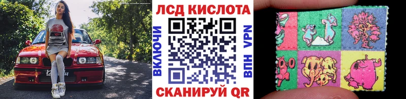 где продают наркотики Дигора Марки N-bome 1,8мг