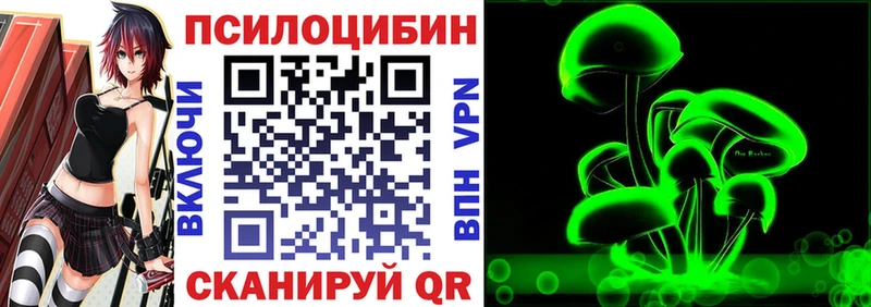 как найти закладки  Дигора  Галлюциногенные грибы Magic Shrooms 