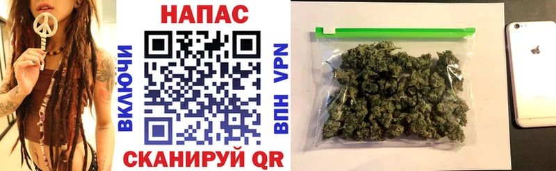 Конопля семена  Дигора 